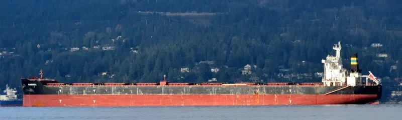 RANGIROA Bulk Carrier IMO 9634713 photo 7