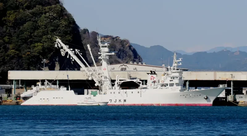 MIYA MARU NO.18 General Cargo IMO 9634749 photo 10