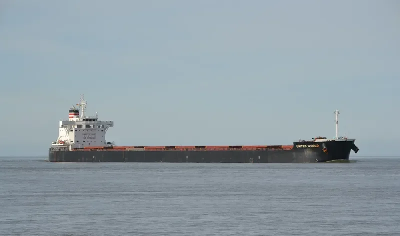 ZERMATT Bulk Carrier IMO 9634830 photo 2