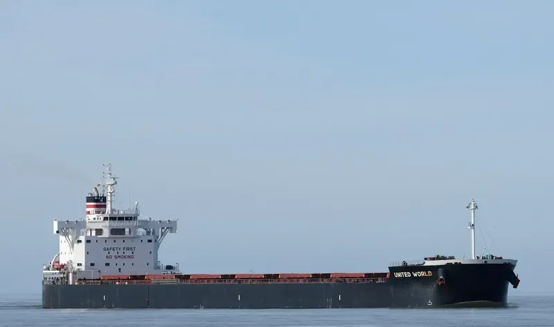 ZERMATT Bulk Carrier IMO 9634830 photo 4