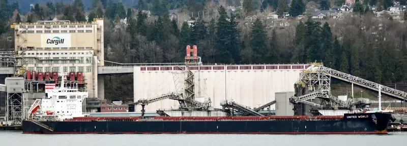 ZERMATT Bulk Carrier IMO 9634830 photo 7