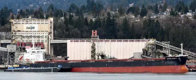 ZERMATT Bulk Carrier IMO 9634830 photo 9