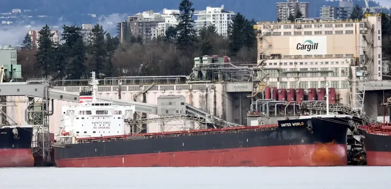 ZERMATT Bulk Carrier IMO 9634830 photo 10