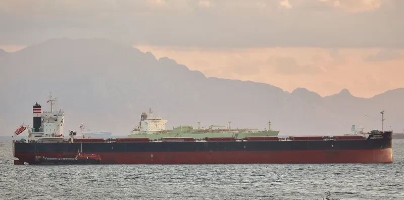 STAR CALYPSO Bulk Carrier IMO 9634842