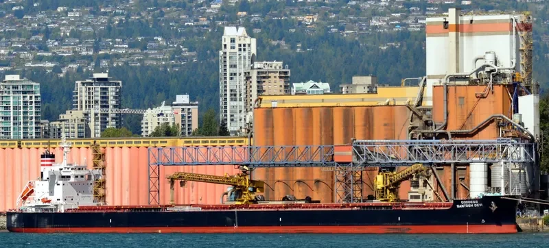 STAR CALYPSO Bulk Carrier IMO 9634842 photo 2