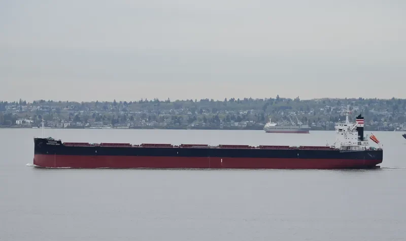 STAR CALYPSO Bulk Carrier IMO 9634842 photo 3