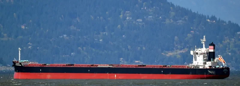 STAR CALYPSO Bulk Carrier IMO 9634842 photo 4