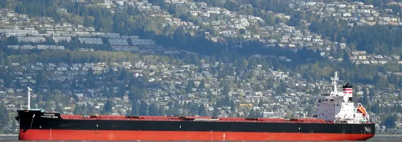 STAR CALYPSO Bulk Carrier IMO 9634842 photo 5