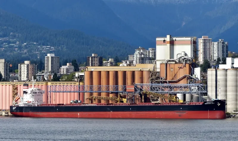 STAR CALYPSO Bulk Carrier IMO 9634842 photo 6