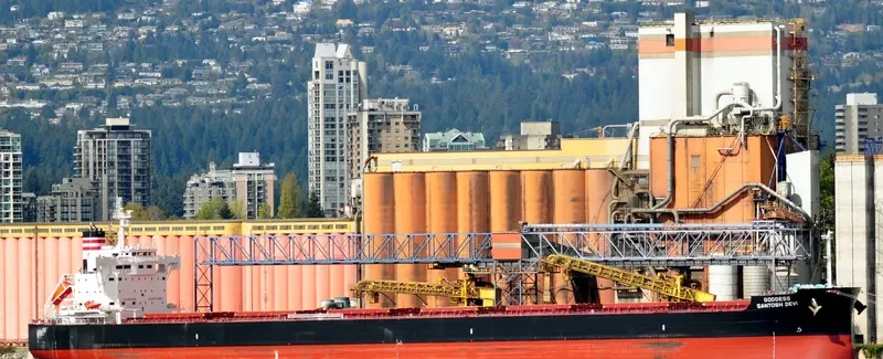 STAR CALYPSO Bulk Carrier IMO 9634842 photo 7