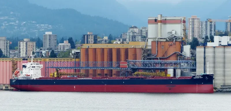 STAR CALYPSO Bulk Carrier IMO 9634842 photo 8
