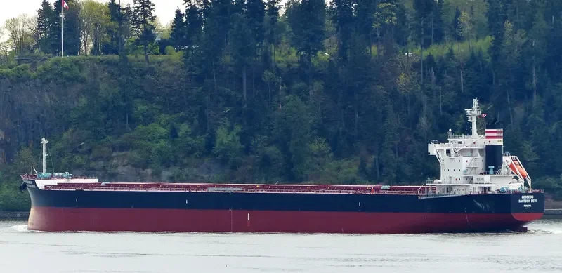 STAR CALYPSO Bulk Carrier IMO 9634842 photo 9