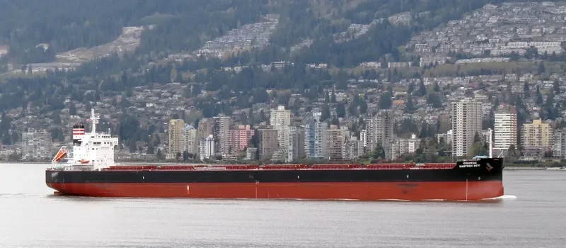 STAR CALYPSO Bulk Carrier IMO 9634842 photo 10