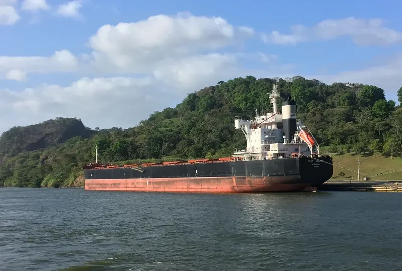 ORION GLOBE Bulk Carrier IMO 9634854 photo 3