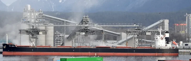 ORION GLOBE Bulk Carrier IMO 9634854 photo 4