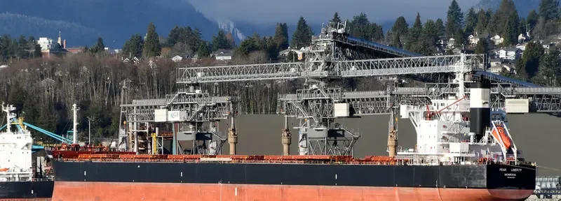 ORION GLOBE Bulk Carrier IMO 9634854 photo 7
