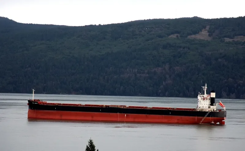 ORION GLOBE Bulk Carrier IMO 9634854 photo 8
