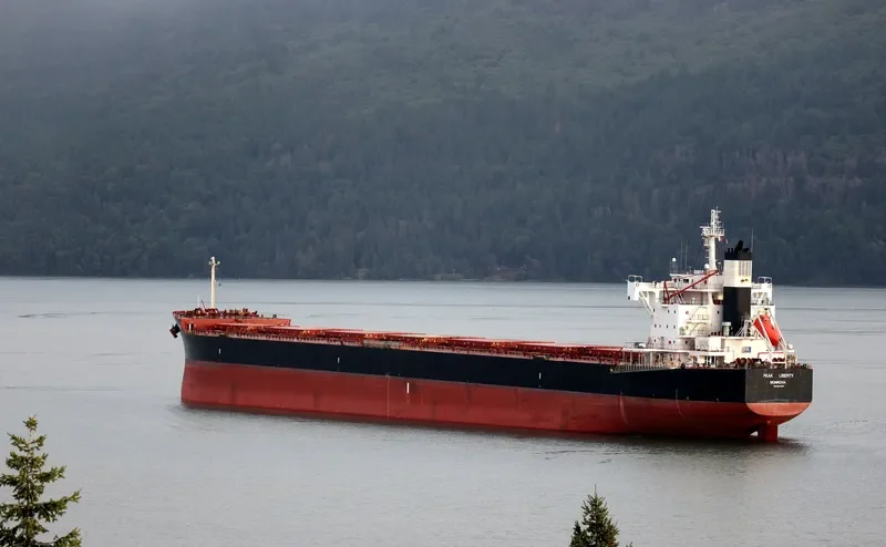 ORION GLOBE Bulk Carrier IMO 9634854 photo 9