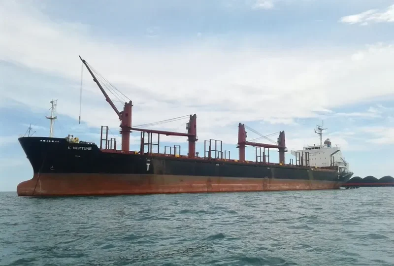 ES NEPTUNE Bulk Carrier IMO 9634892