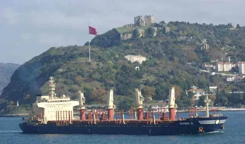 IOANNA D Bulk Carrier IMO 9634969 photo 2
