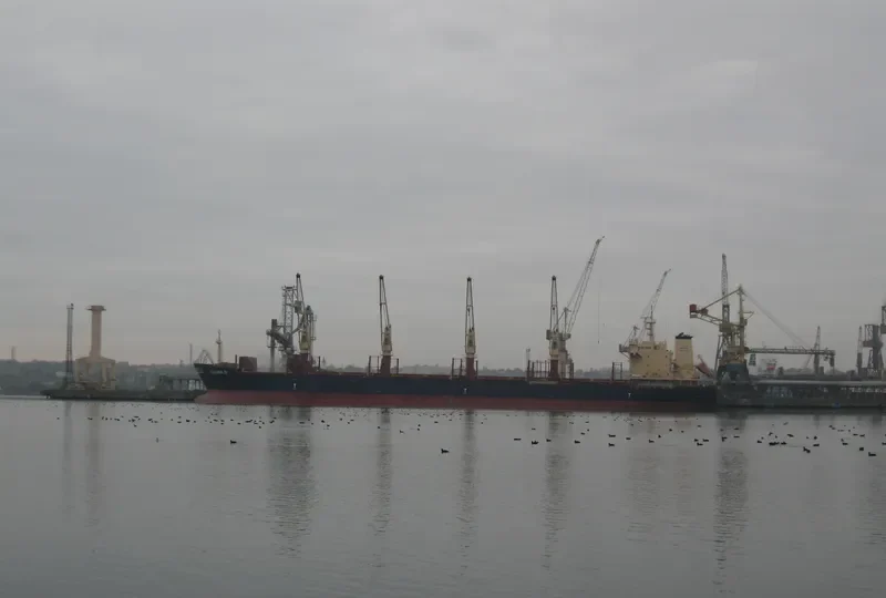 IOANNA D Bulk Carrier IMO 9634969 photo 5