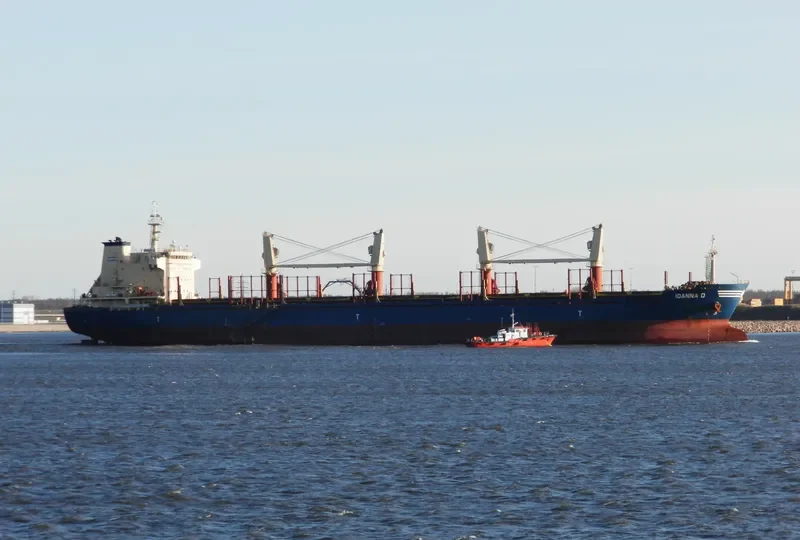 IOANNA D Bulk Carrier IMO 9634969 photo 7