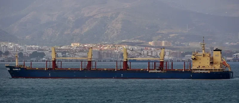IOANNA D Bulk Carrier IMO 9634969 photo 8