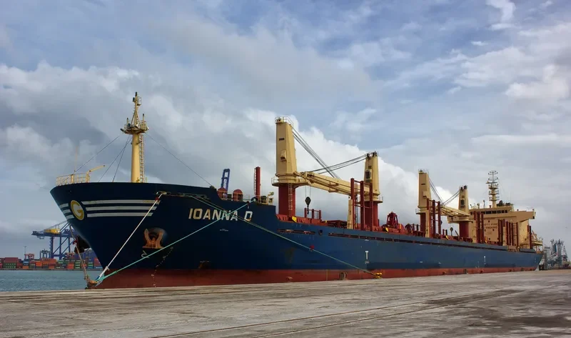 IOANNA D Bulk Carrier IMO 9634969 photo 9
