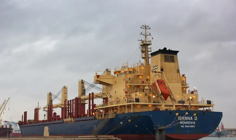 IOANNA D Bulk Carrier IMO 9634969 photo 10