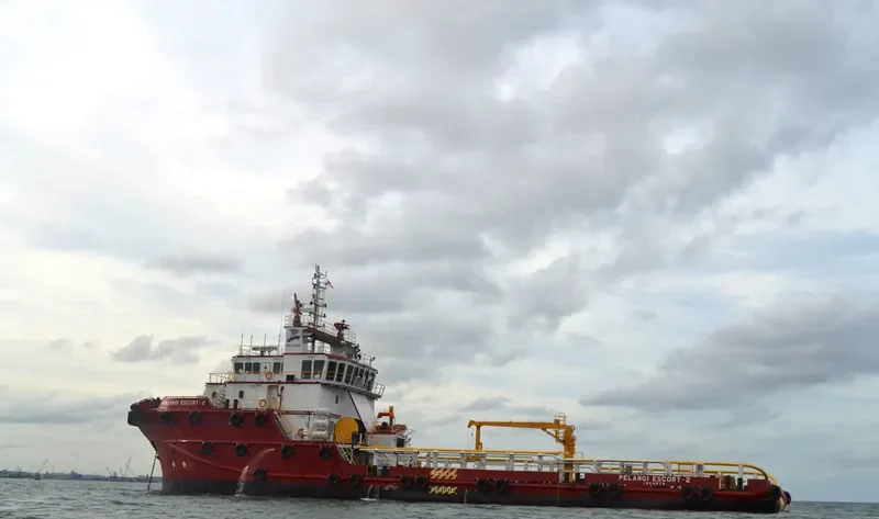 PELANGI ESCORT 2 Offshore Vessel IMO 9635133