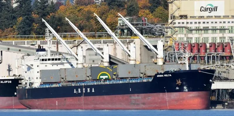 ARUNA HULYA Bulk Carrier IMO 9635391