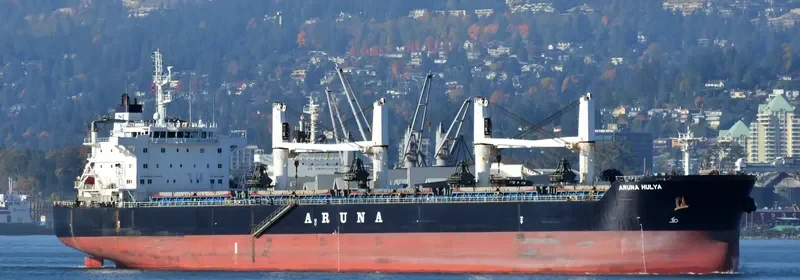 ARUNA HULYA Bulk Carrier IMO 9635391 photo 2