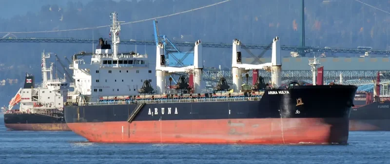 ARUNA HULYA Bulk Carrier IMO 9635391 photo 3