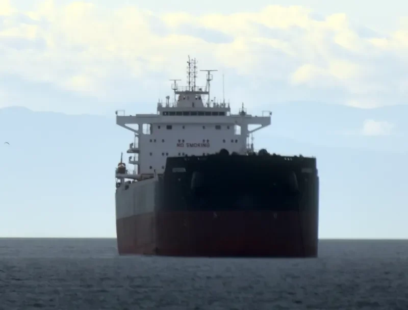 ARUNA HULYA Bulk Carrier IMO 9635391 photo 5