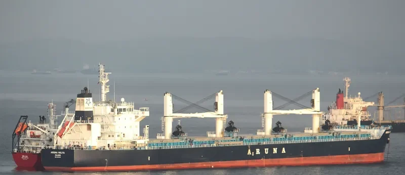 ARUNA HULYA Bulk Carrier IMO 9635391 photo 7