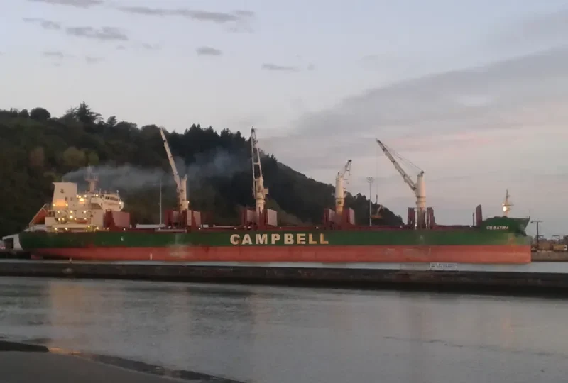 CS SATIRA Bulk Carrier IMO 9635456 photo 7