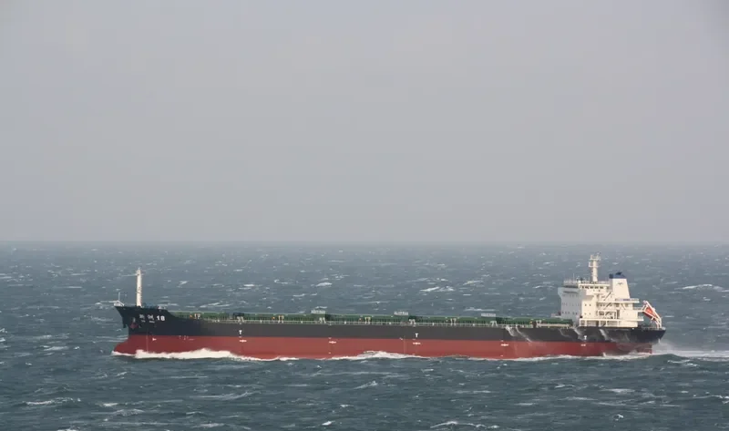 XIN ZHOU 18 Bulk Carrier IMO 9635559