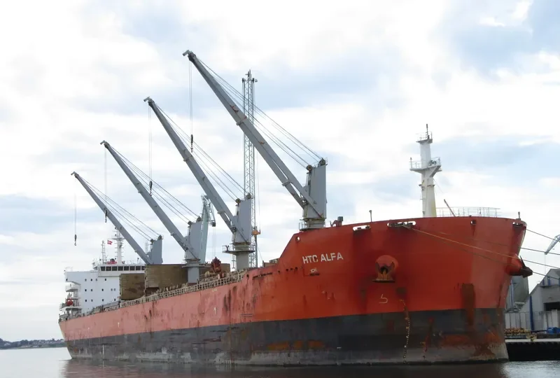 SEACON SINGAPORE Bulk Carrier IMO 9635614 photo 4