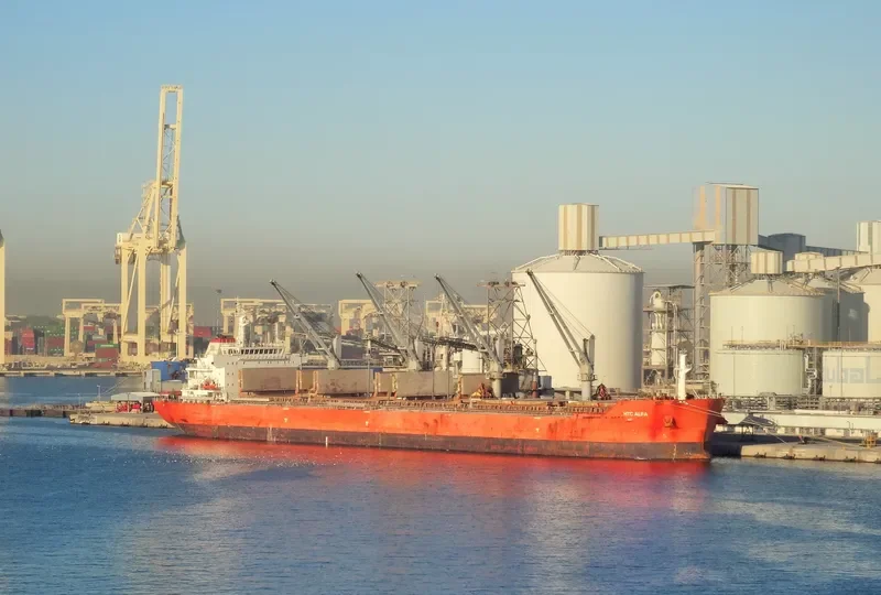 SEACON SINGAPORE Bulk Carrier IMO 9635614 photo 6