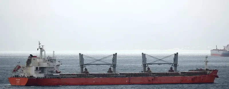 SEACON SINGAPORE Bulk Carrier IMO 9635614 photo 7