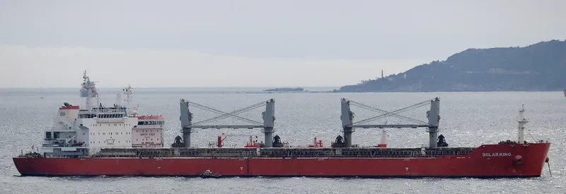 SEACON QINGDAO Bulk Carrier IMO 9635626