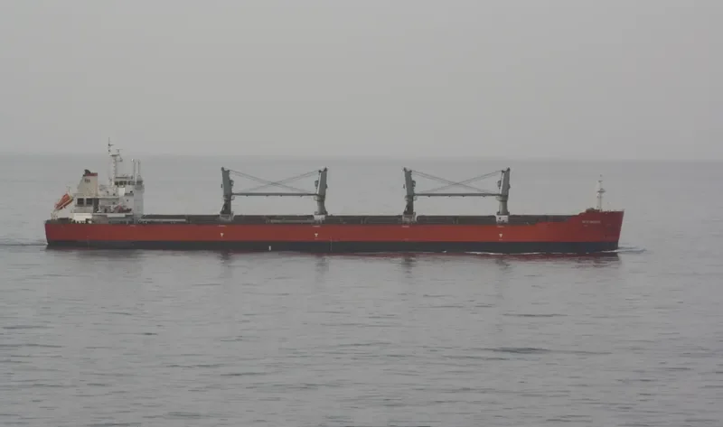 SEACON QINGDAO Bulk Carrier IMO 9635626 photo 2
