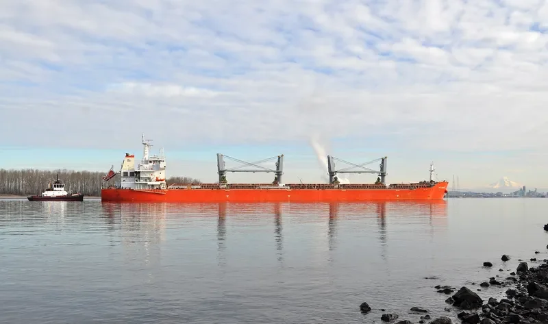 SEACON QINGDAO Bulk Carrier IMO 9635626 photo 4