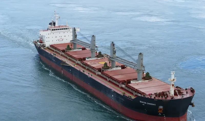 SEACON QINGDAO Bulk Carrier IMO 9635626 photo 7