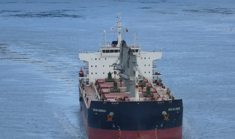 SEACON QINGDAO Bulk Carrier IMO 9635626 photo 8