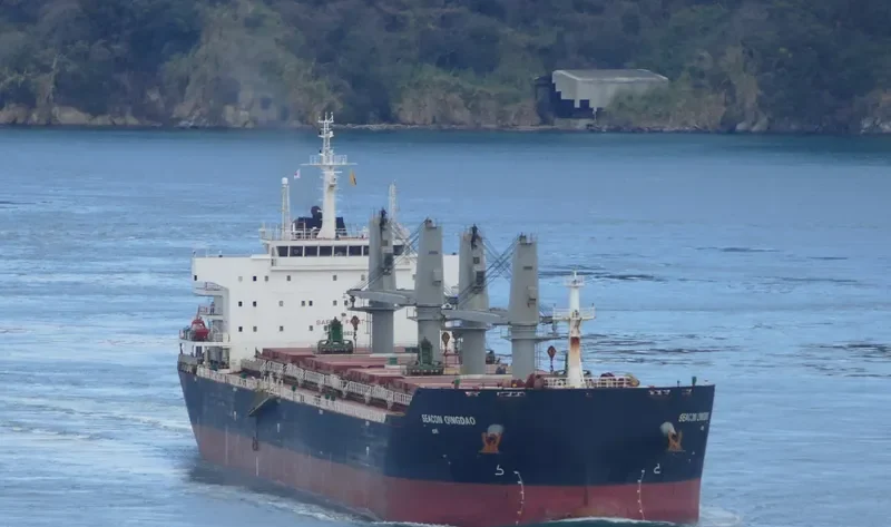 SEACON QINGDAO Bulk Carrier IMO 9635626 photo 9