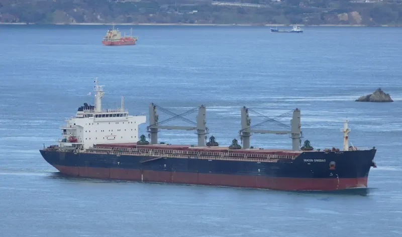 SEACON QINGDAO Bulk Carrier IMO 9635626 photo 10