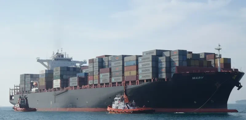 MARY Container Ship IMO 9635664 photo 10