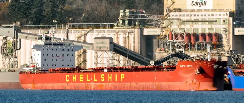 DARYA KIRTHI Bulk Carrier IMO 9635690 photo 4