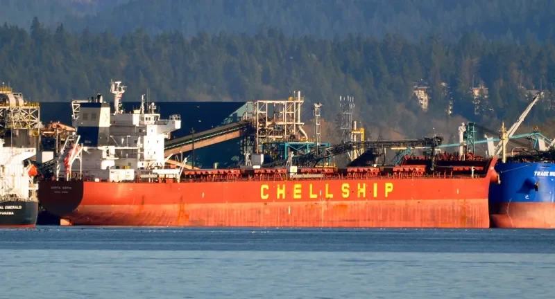 DARYA KIRTHI Bulk Carrier IMO 9635690 photo 6